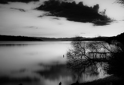 1bnw