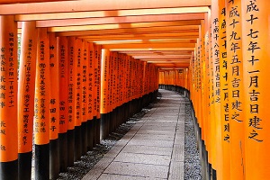 tokyo tl